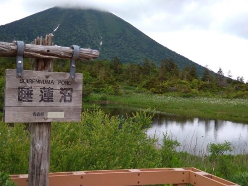 続々仏に対しては人と同じくすることも大切です